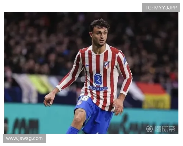 巴萨拟向欧足联申诉普维尔手球